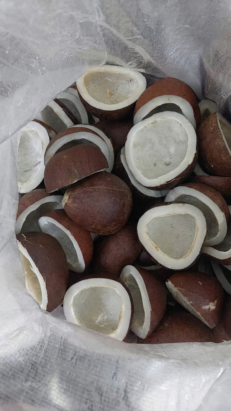 Black Dry Copra — export from Kerala, India