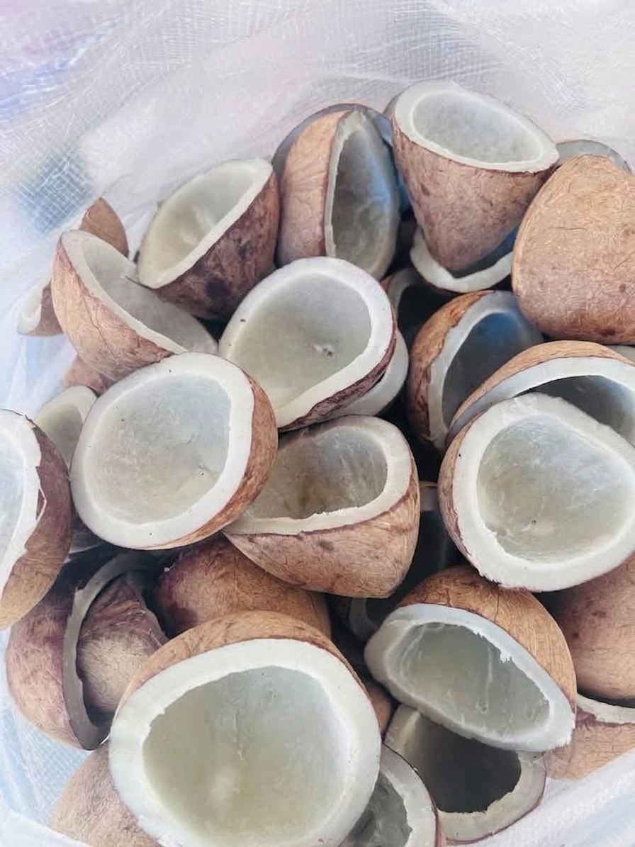 Coconut Products export from Kerala