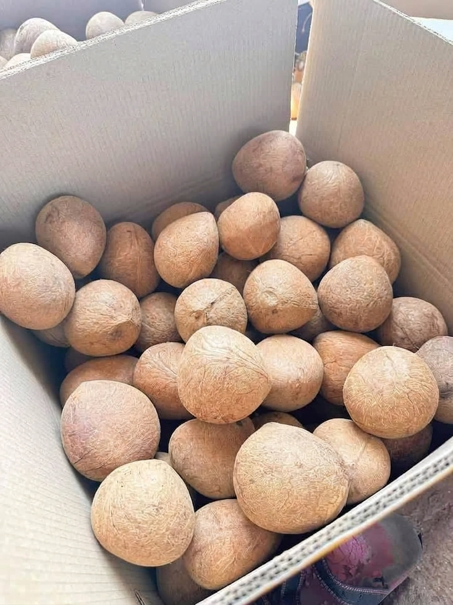 Full Gola (Whole Coconut) — export from Kerala, India