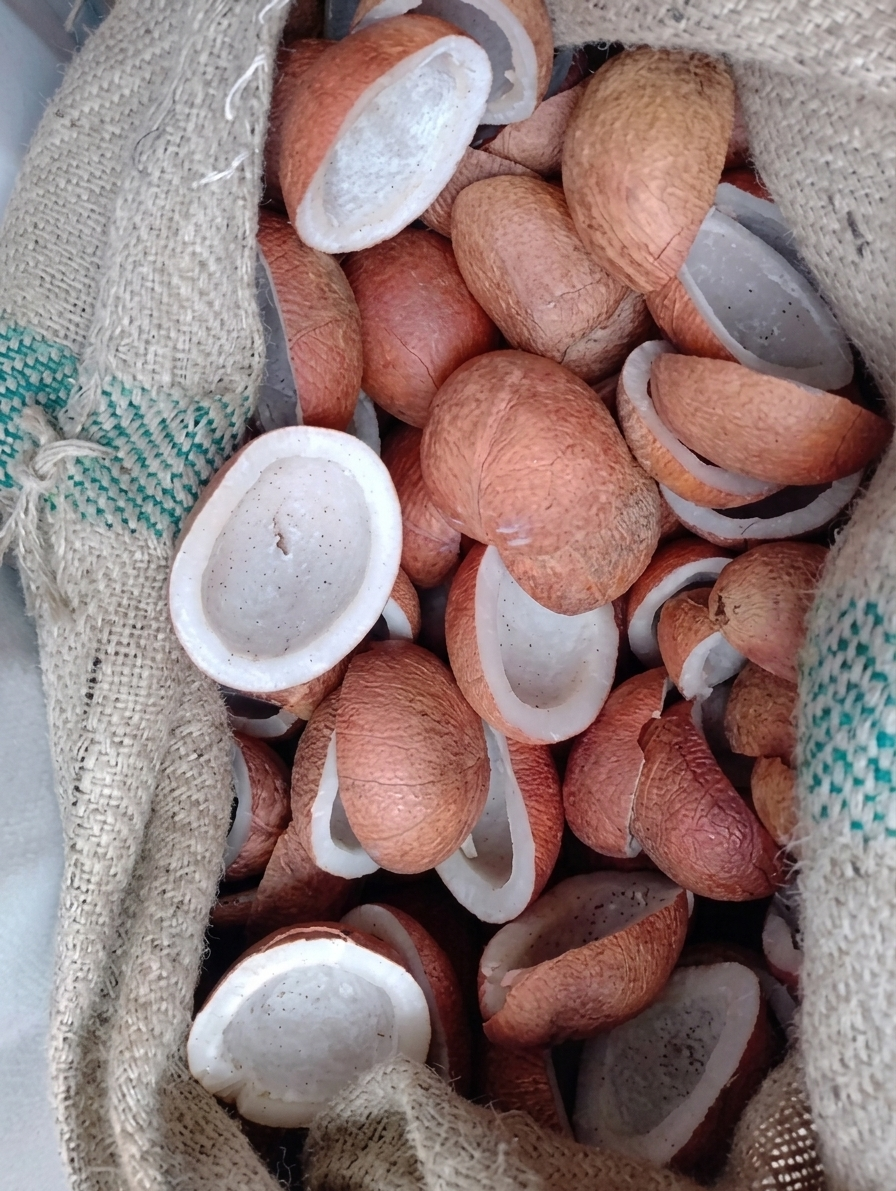 Red Dry Copra — export from Kerala, India