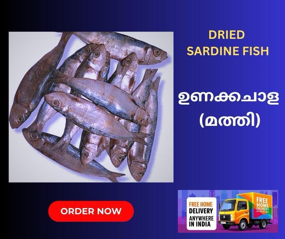 Dried Sardine (Mathi / Chaala) — export from Kerala, India