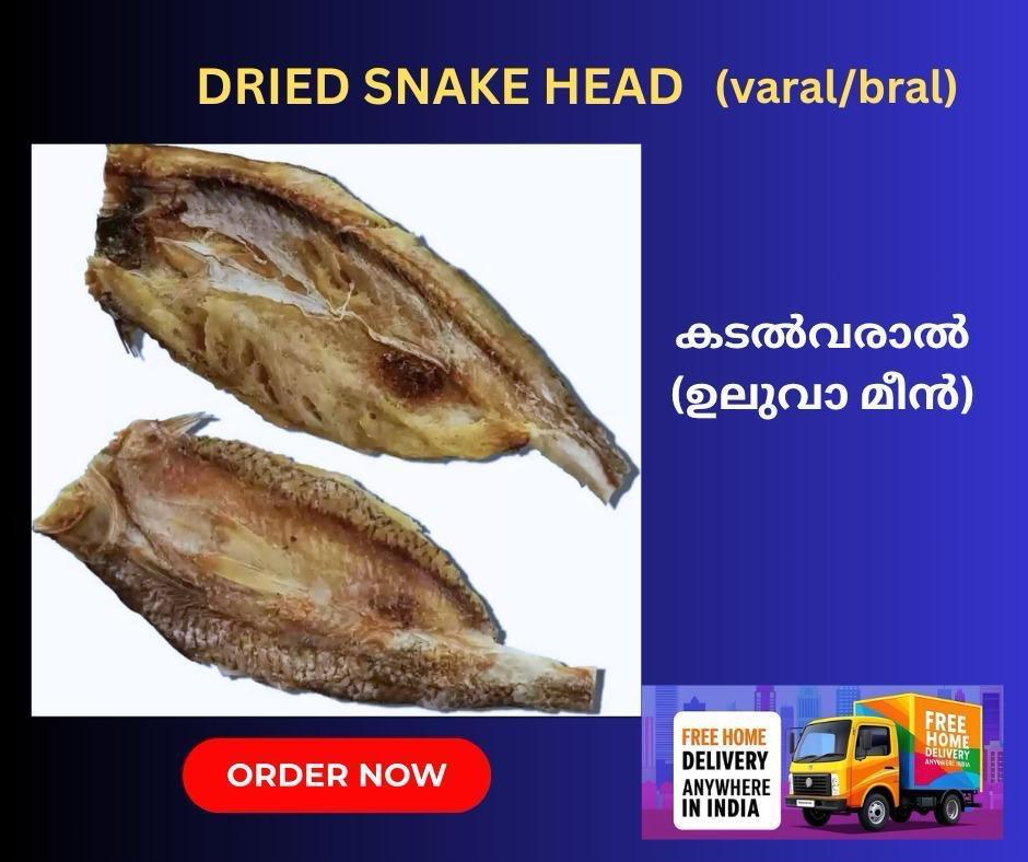 Dried Snakehead Fish — export from Kerala, India