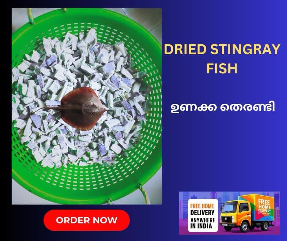 Dried Stingray Fish — export from Kerala, India