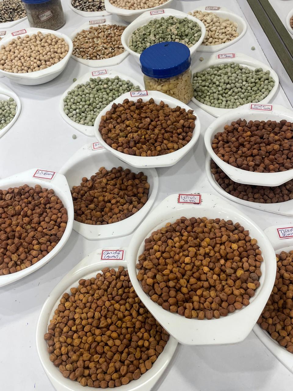 Pulses & Grains export packing 2