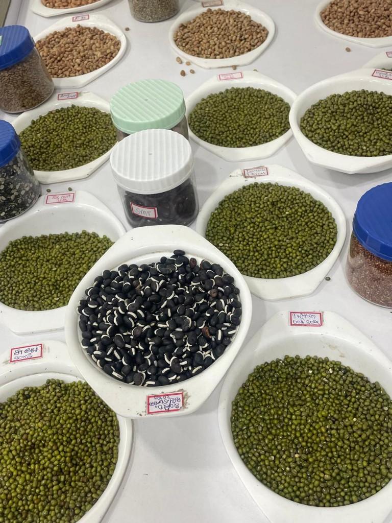 Green Moong export packing 2