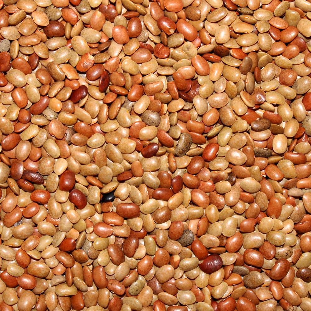 Horse Gram — export from Kerala, India
