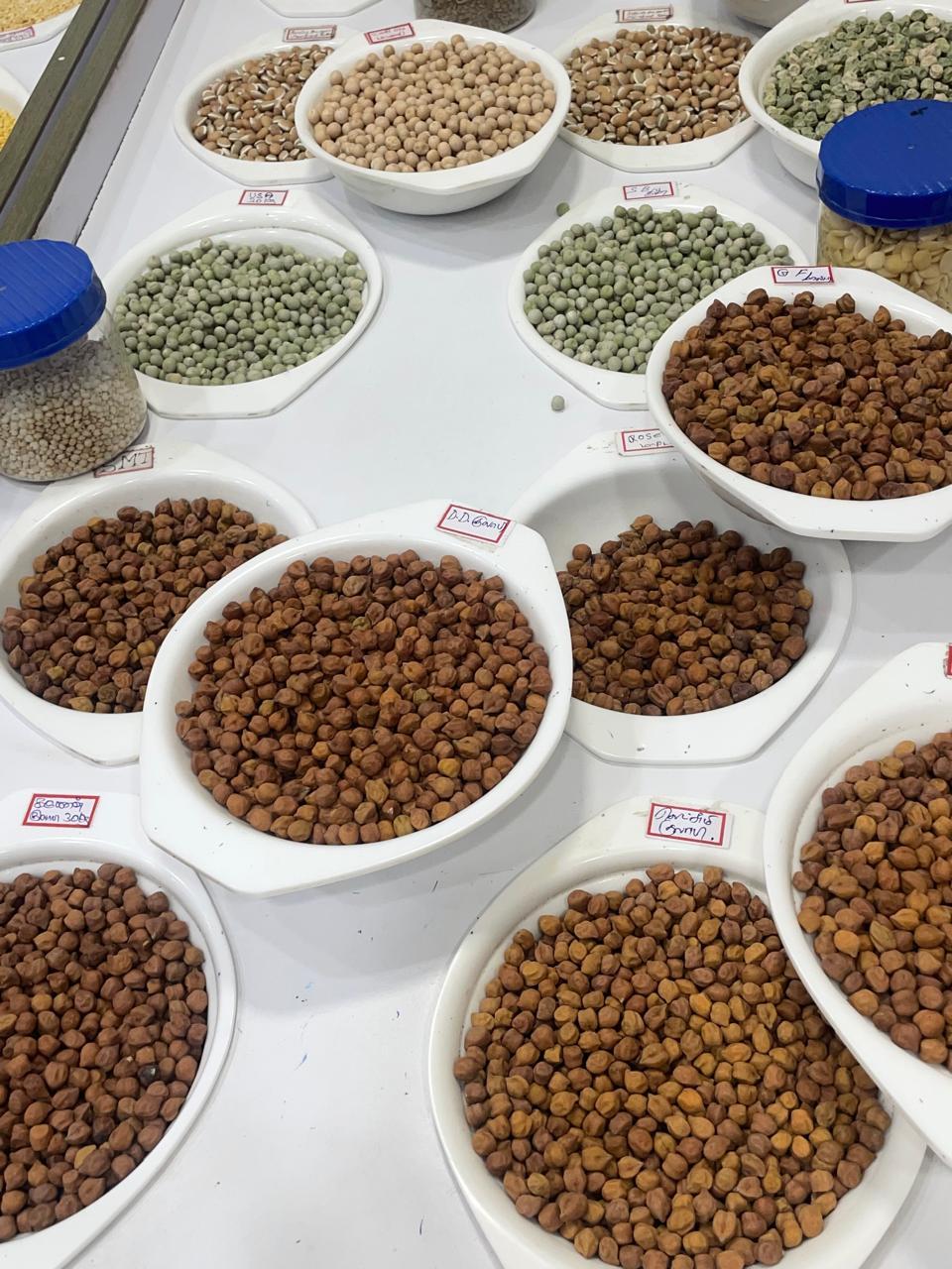 Pulses & Grains export packing 3