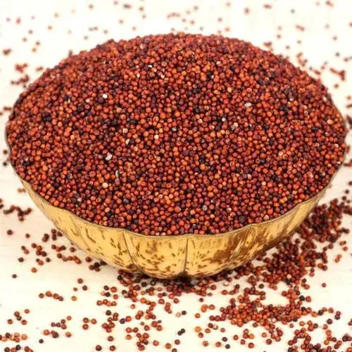 Ragi Seed — export from Kerala, India