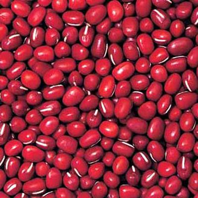 Red Moong — export from Kerala, India