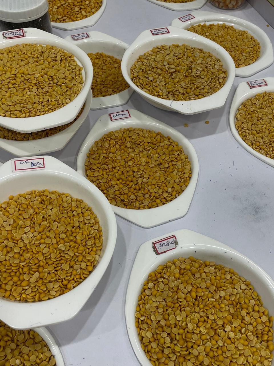 Pulses & Grains export packing 9