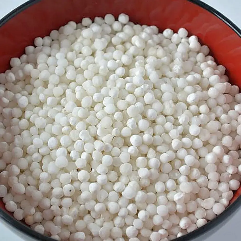 Sago Seed — export from Kerala, India