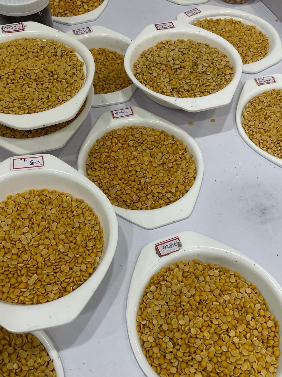 Toor Dal — export from Kerala, India