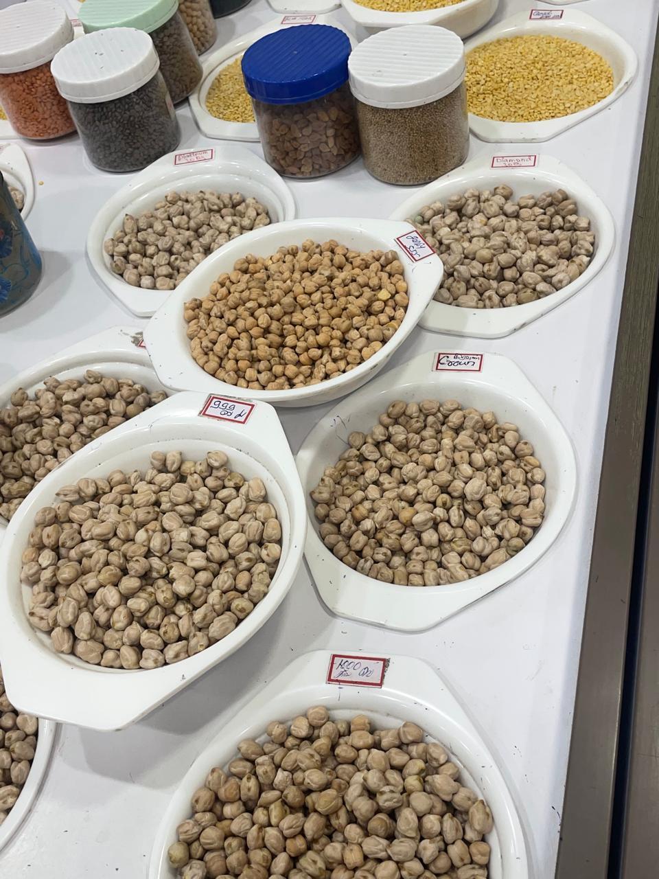 White Chickpeas — export from Kerala, India