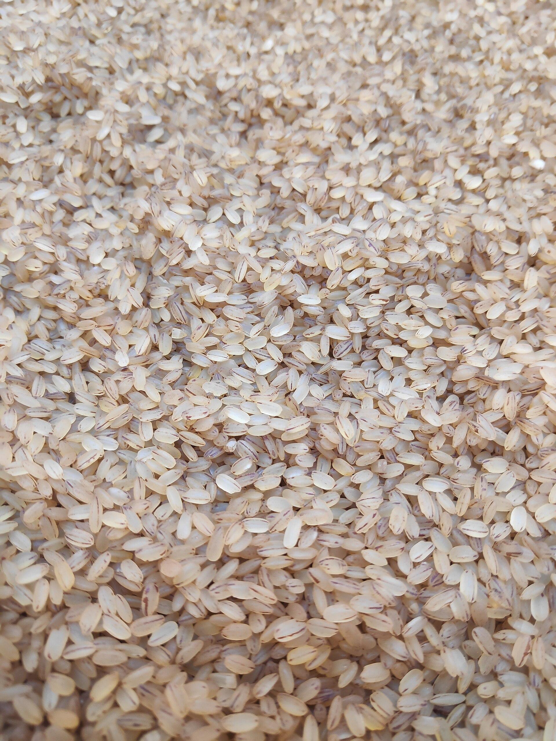 Rice Varieties export from Kerala