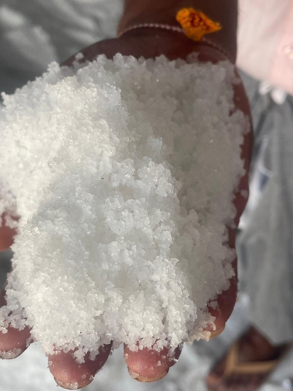 Crystal Salt (Coarse / Raw Grain) export packing 8