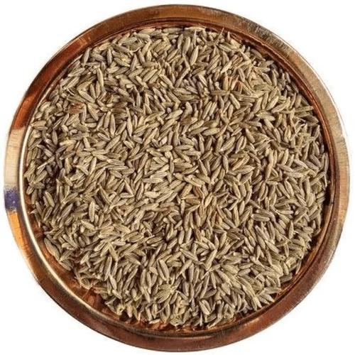 Cumin Seed — export from Kerala, India