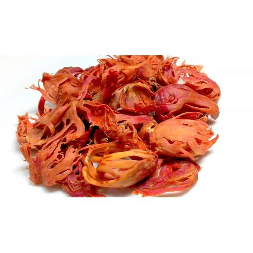 Mace (Jaadipathiri) — export from Kerala, India