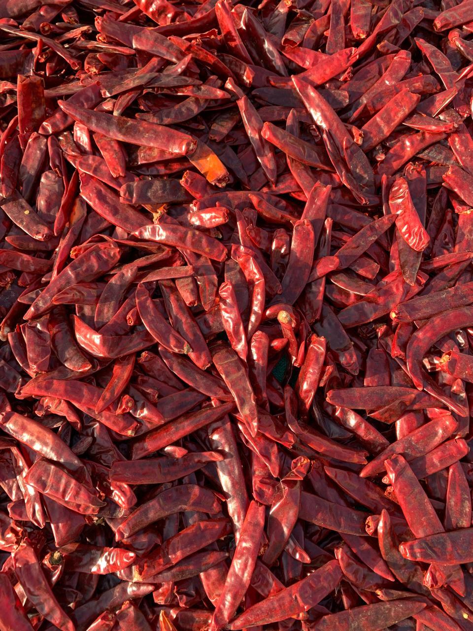 Spices & Powders export from Kerala