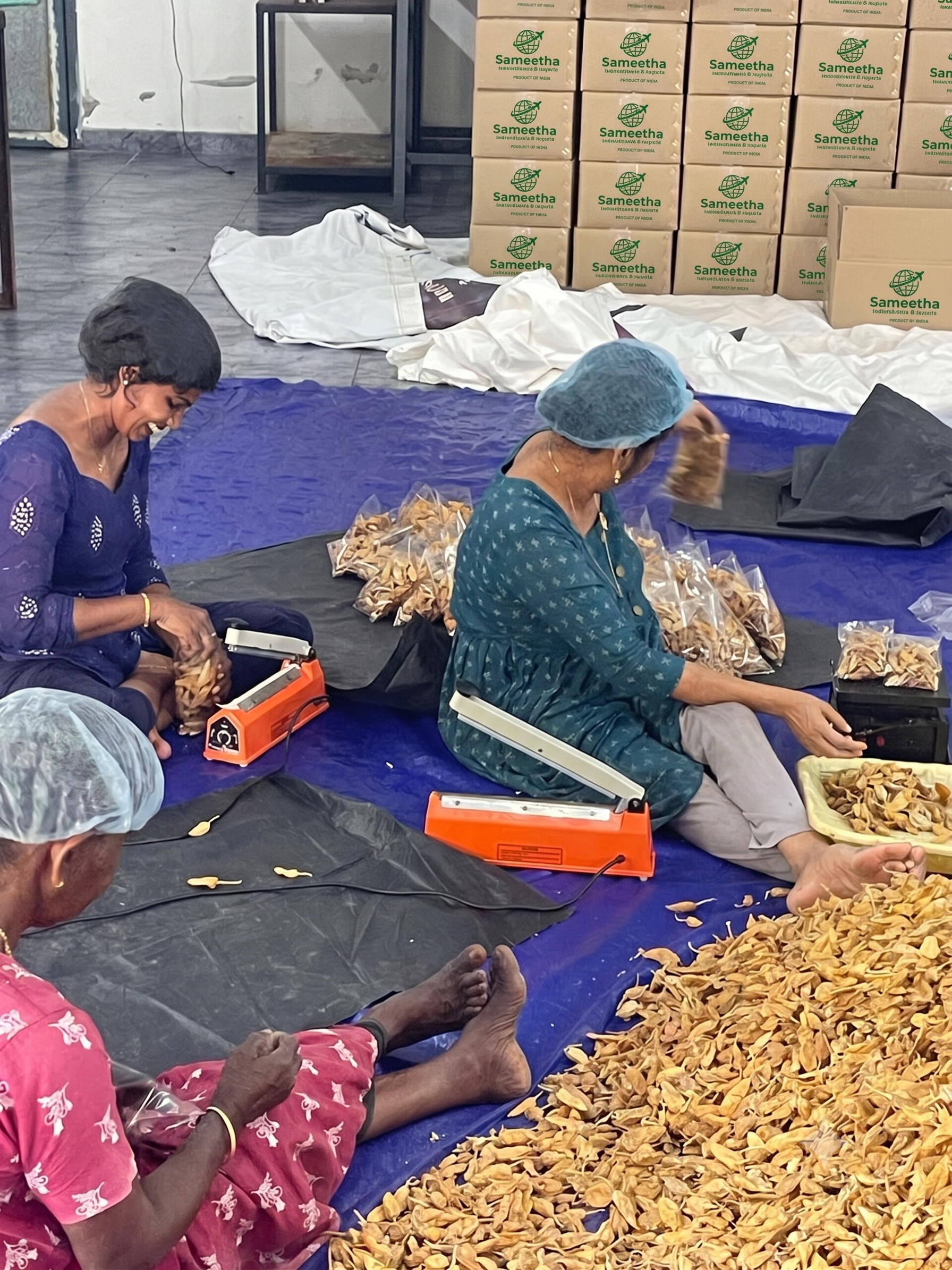 Curd Chilly export packing 2